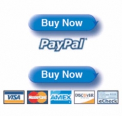 Create PayPal Buy Now Button Video
