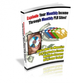 Explode Your Monthly Income Through Monthly PLR Sites!