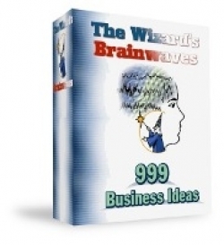 The Wizards Brainwaves : 999 Business Ideas