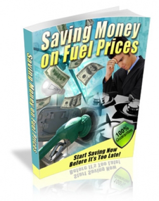 Saving Money On Fuel Prices