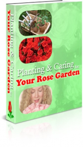 Planning & Caring Your Rose Garden