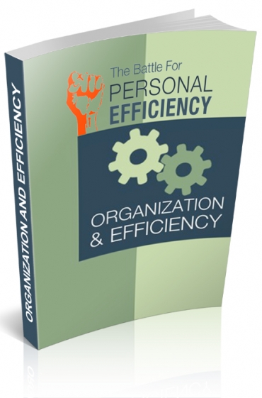 Organization And Efficiency V2