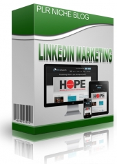 LinkedIn Marketing Niche Blog Template with Personal Use Rights