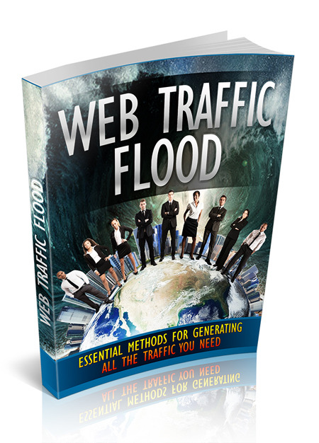 Web Traffic Flood