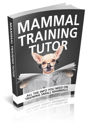 Mammal Training Tutor