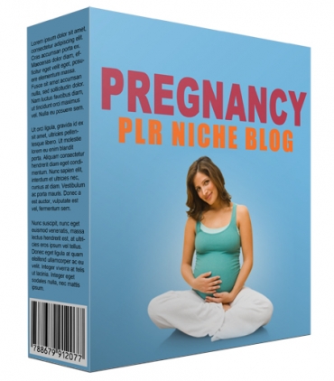Pregnancy PLR Niche Blog V2