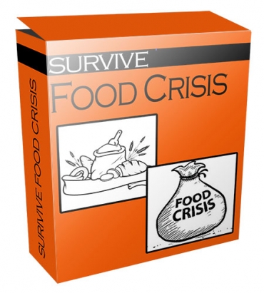 Survive Food Crisis Flipping Niche Blog