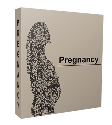 Pregnancy Niche Website Bundle