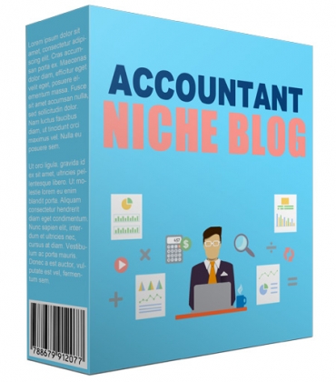 Accountant Niche Website V3