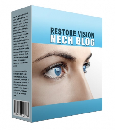 New Restore Vision Flipping Niche Blog