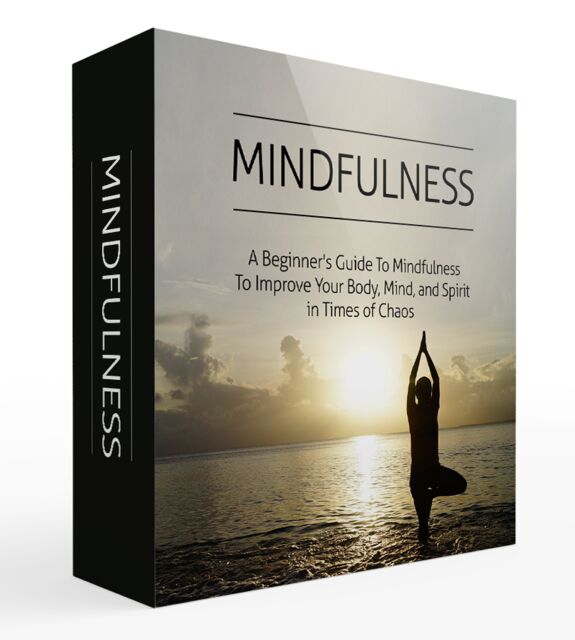 eCover representing Mindfulness Video Upgrade Videos, Tutorials & Courses with Master Resell Rights