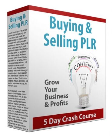 eCover representing Buying and Selling PLR Newsletters eBooks & Reports with Private Label Rights