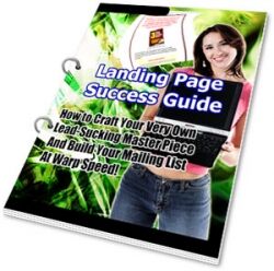 eCover representing Landing Page Success Guide eBooks & Reports with Private Label Rights