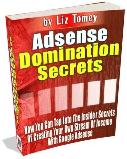 eCover representing Adsense Domination Secrets eBooks & Reports with Master Resell Rights