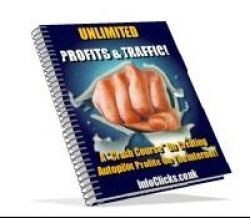 eCover representing Unlimited Profits & Traffic eBooks & Reports with Master Resell Rights
