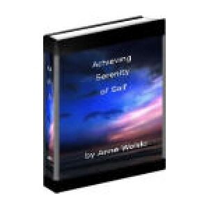 eCover representing Achieving Serenity Of Self eBooks & Reports with Master Resell Rights
