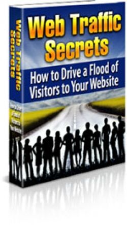 eCover representing Web Traffic Secrets eBooks & Reports with Master Resell Rights
