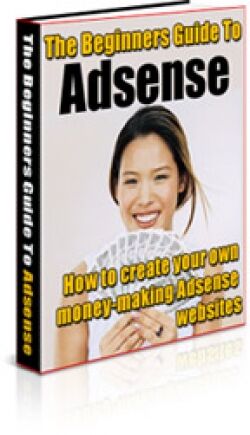 eCover representing The Beginners Guide To Adsense eBooks & Reports with Master Resell Rights