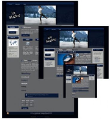 eCover representing Ice Skating - WP Theme  with Master Resell Rights