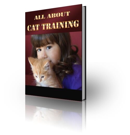 eCover representing All About Cat Training eBooks & Reports with Private Label Rights