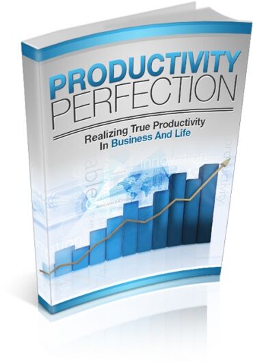 eCover representing Productivity Perfection eBooks & Reports with Master Resell Rights