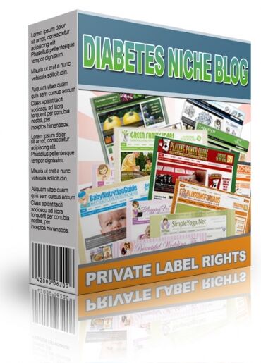 eCover representing Diabetes Niche Blog  with Private Label Rights